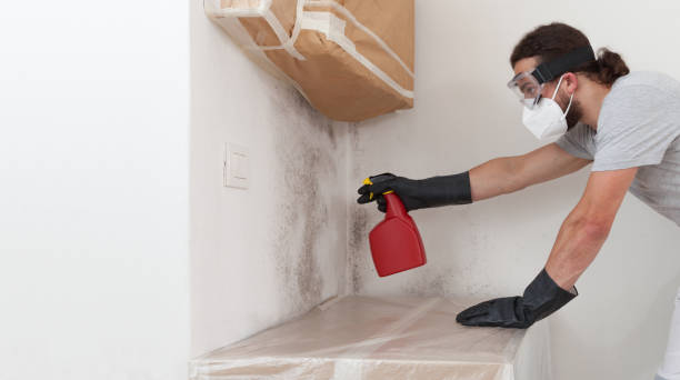 Professional Bathroom Mold Removal technician working in Union, KY